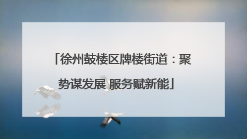 徐州鼓楼区牌楼街道：聚势谋发展 服务赋新能
