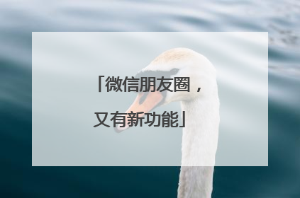 微信朋友圈，又有新功能