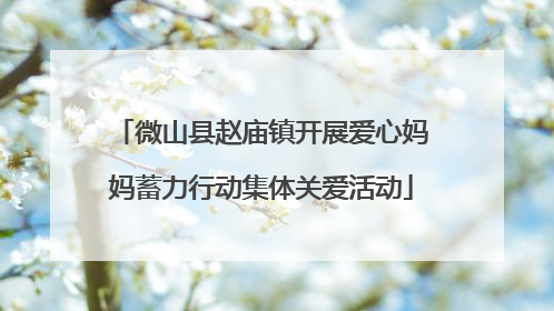微山县赵庙镇开展爱心妈妈蓄力行动集体关爱活动