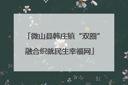 微山县韩庄镇“双圈”融合织就民生幸福网