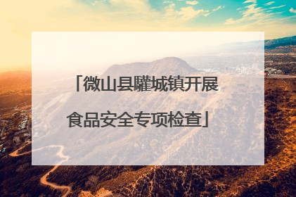 微山县驩城镇开展食品安全专项检查