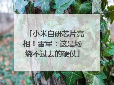 小米自研芯片亮相！雷军：这是场绕不过去的硬仗