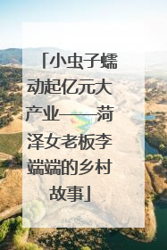 小虫子蠕动起亿元大产业——菏泽女老板李端端的乡村故事