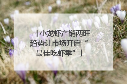 小龙虾产销两旺趋势让市场开启“最佳吃虾季”