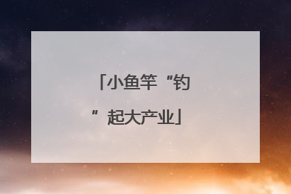 小鱼竿“钓”起大产业