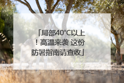 局部40℃以上！高温来袭 这份防暑指南请查收