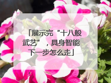 展示完“十八般武艺”，具身智能下一步怎么走