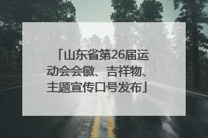 山东省第26届运动会会徽、吉祥物、主题宣传口号发布