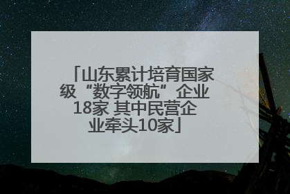 山东累计培育国家级“数字领航”企业18家 其中民营企业牵头10家