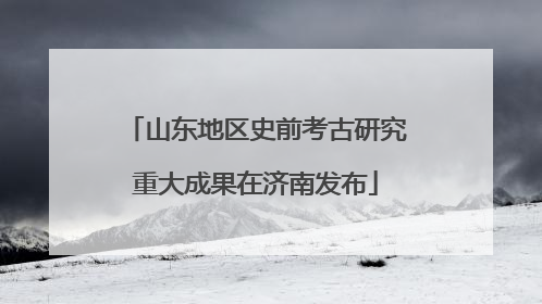 山东地区史前考古研究重大成果在济南发布