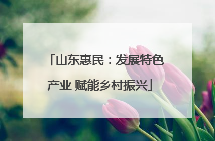 山东惠民：发展特色产业 赋能乡村振兴