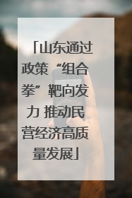 山东通过政策“组合拳”靶向发力 推动民营经济高质量发展