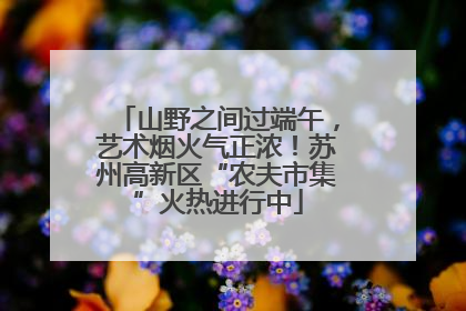 山野之间过端午，艺术烟火气正浓！苏州高新区“农夫市集”火热进行中