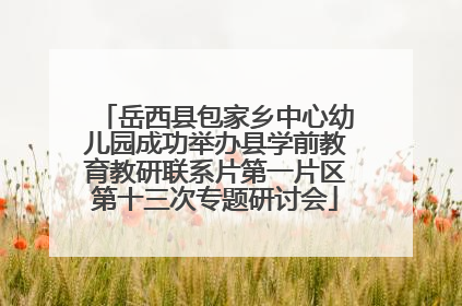 岳西县包家乡中心幼儿园成功举办县学前教育教研联系片第一片区第十三次专题研讨会