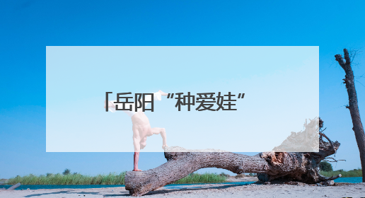 岳阳“种爱娃” 北京过“六一”