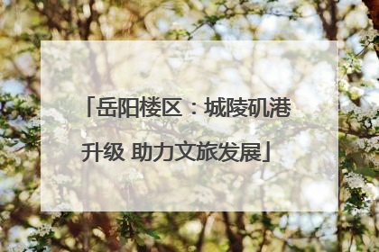岳阳楼区：城陵矶港升级 助力文旅发展