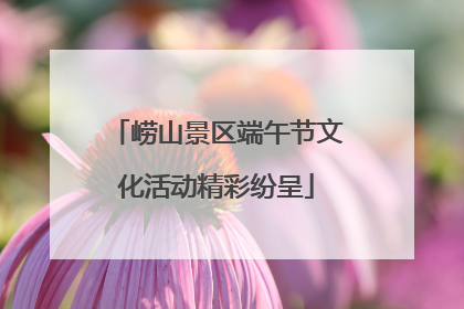 崂山景区端午节文化活动精彩纷呈