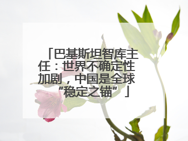 巴基斯坦智库主任：世界不确定性加剧，中国是全球“稳定之锚”