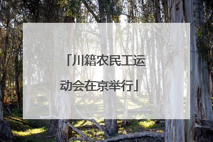 川籍农民工运动会在京举行