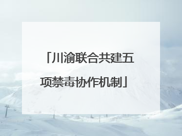 川渝联合共建五项禁毒协作机制