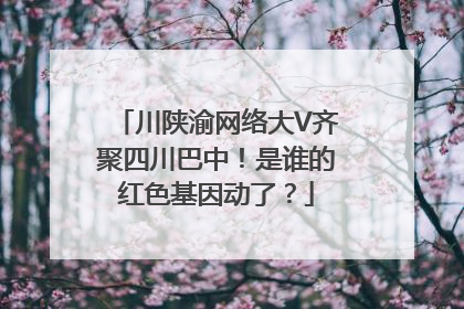 川陕渝网络大V齐聚四川巴中！是谁的红色基因动了？