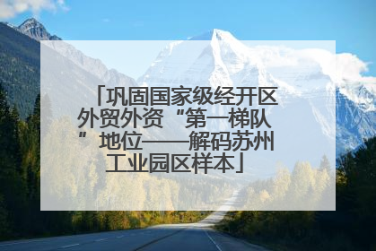 巩固国家级经开区外贸外资“第一梯队”地位——解码苏州工业园区样本