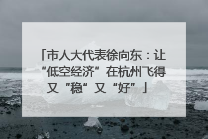 市人大代表徐向东：让“低空经济”在杭州飞得又“稳”又“好”