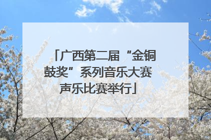 广西第二届“金铜鼓奖”系列音乐大赛声乐比赛举行