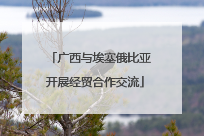 广西与埃塞俄比亚开展经贸合作交流
