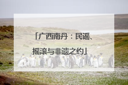 广西南丹：民谣、摇滚与非遗之约