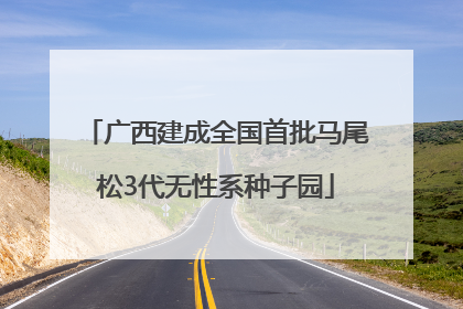 广西建成全国首批马尾松3代无性系种子园