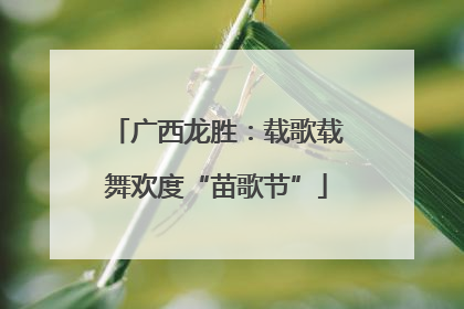 广西龙胜：载歌载舞欢度“苗歌节”
