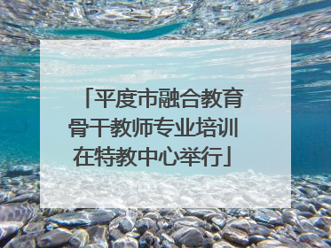 平度市融合教育骨干教师专业培训在特教中心举行