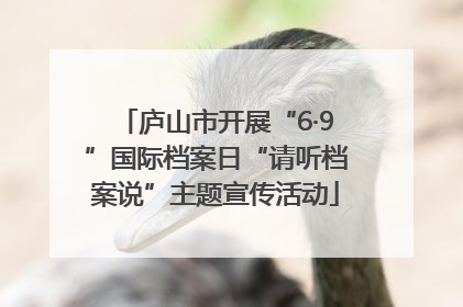 庐山市开展“6·9”国际档案日“请听档案说”主题宣传活动