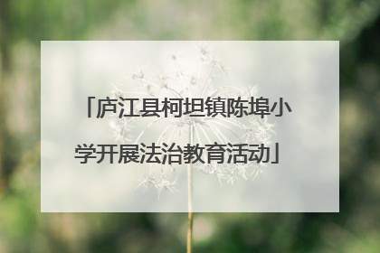 庐江县柯坦镇陈埠小学开展法治教育活动