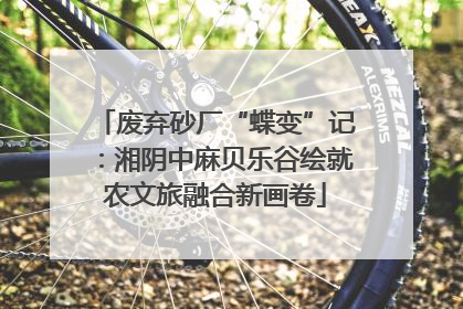 废弃砂厂“蝶变”记：湘阴中麻贝乐谷绘就农文旅融合新画卷