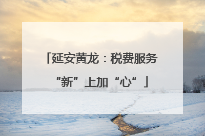 延安黄龙：税费服务“新”上加“心”