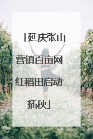 延庆张山营镇百亩网红稻田启动插秧