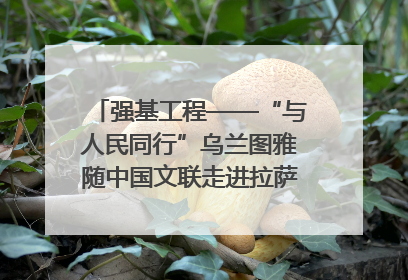 强基工程——“与人民同行”乌兰图雅随中国文联走进拉萨 庆祝西藏自治区成立60周年
