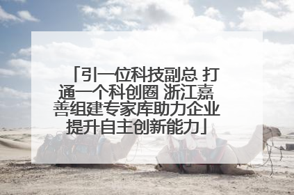 引一位科技副总 打通一个科创圈 浙江嘉善组建专家库助力企业提升自主创新能力