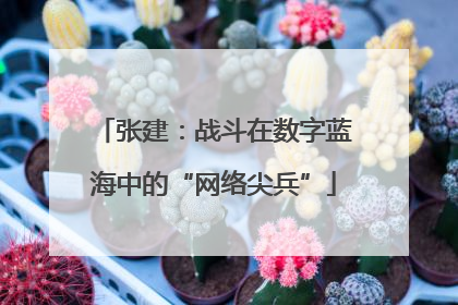 张建：战斗在数字蓝海中的“网络尖兵”