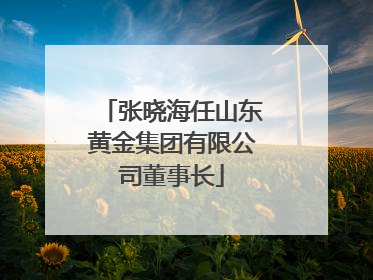 张晓海任山东黄金集团有限公司董事长