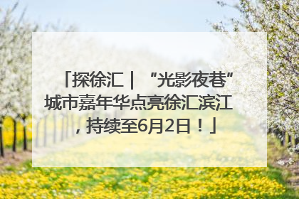 探徐汇｜“光影夜巷”城市嘉年华点亮徐汇滨江，持续至6月2日！