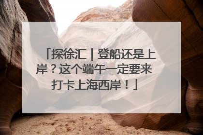 探徐汇｜登船还是上岸？这个端午一定要来打卡上海西岸！