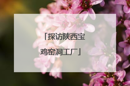 探访陕西宝鸡窑洞工厂