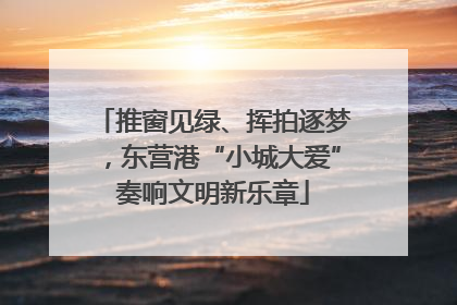 推窗见绿、挥拍逐梦，东营港“小城大爱”奏响文明新乐章
