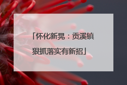怀化新晃：贡溪镇狠抓落实有新招