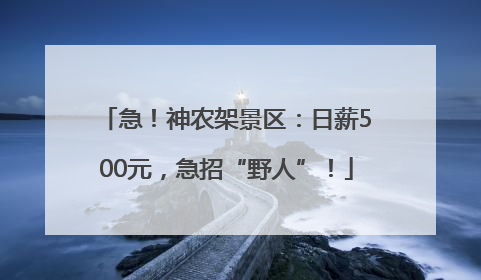 急！神农架景区：日薪500元，急招“野人”！