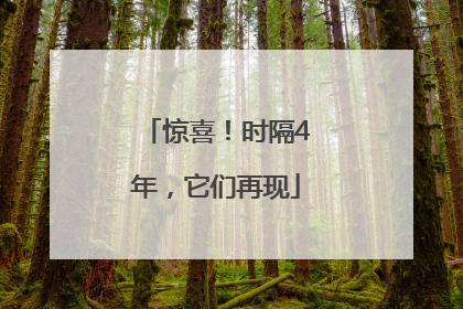惊喜！时隔4年，它们再现