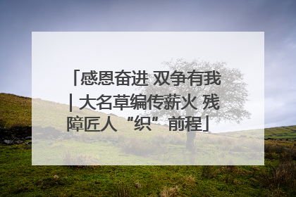 感恩奋进 双争有我｜大名草编传薪火 残障匠人“织”前程